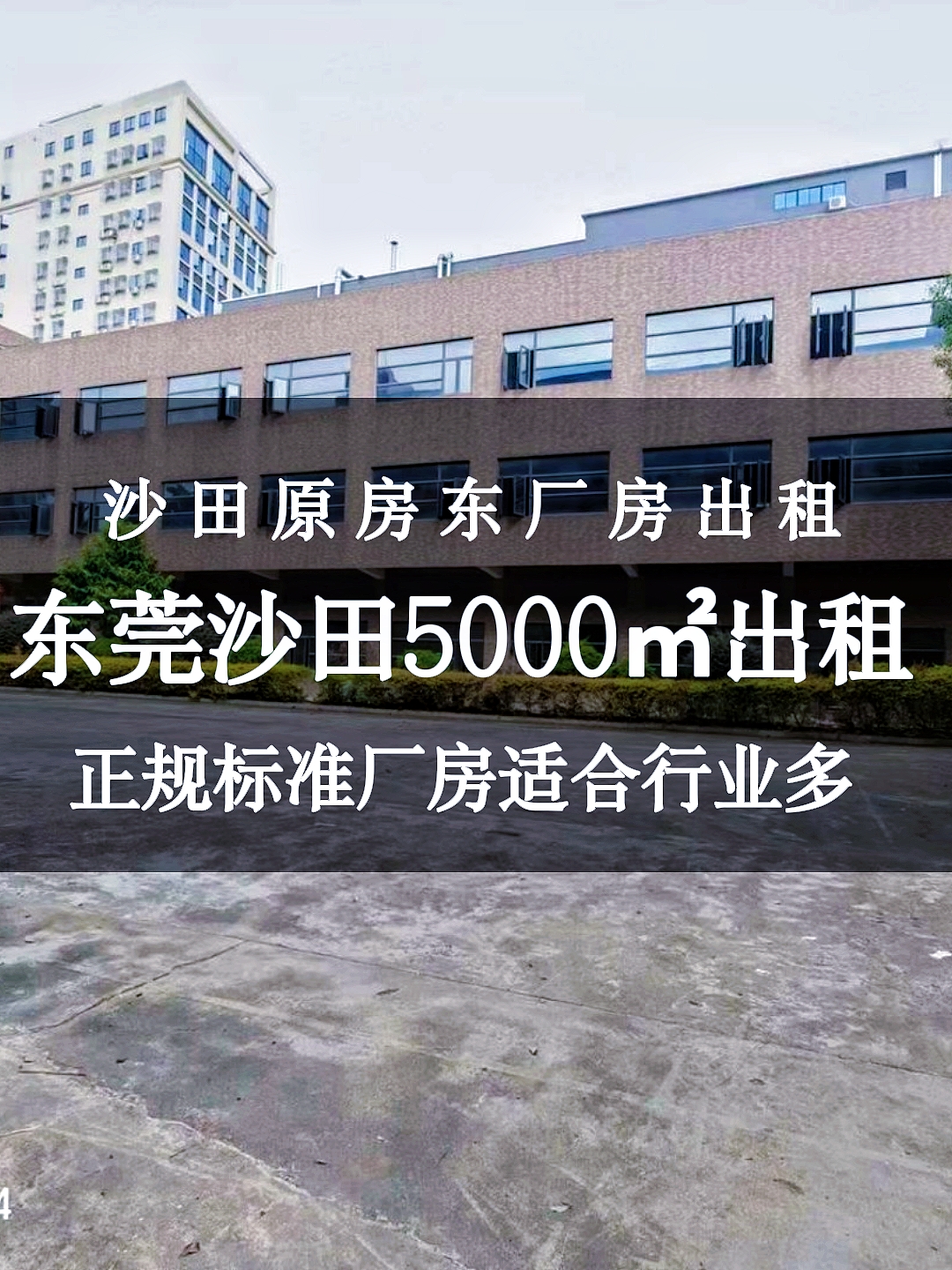 东莞沙田原房东花园式标准厂房出租独院5000方配套宿舍办公楼出租哔哩哔哩bilibili