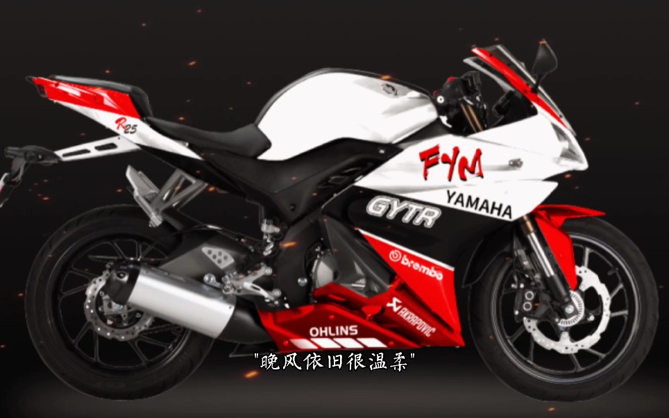 飞鹰r25 雅马哈限量款版画