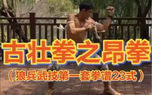 Download Video: 《古壮拳之昂拳第一套拳谱23式》