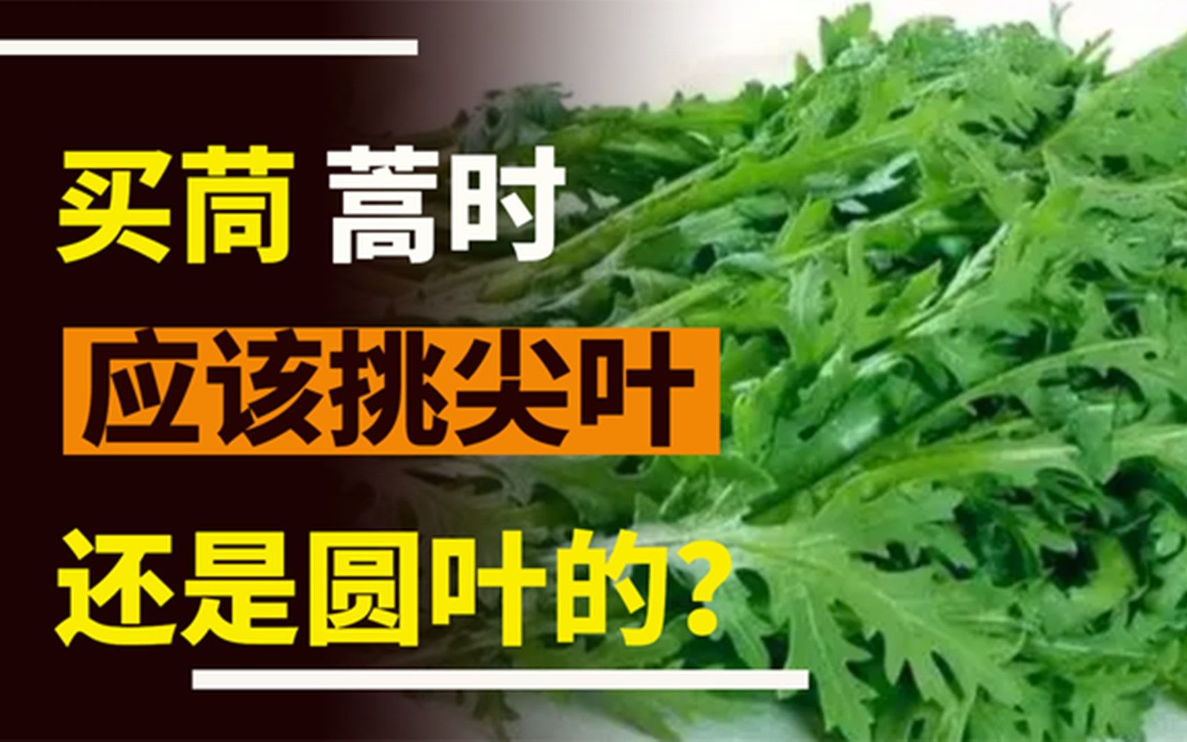 该买尖叶茼蒿还是圆叶?牢记“三买三不买”,连菜贩子都刮目相看哔哩哔哩bilibili