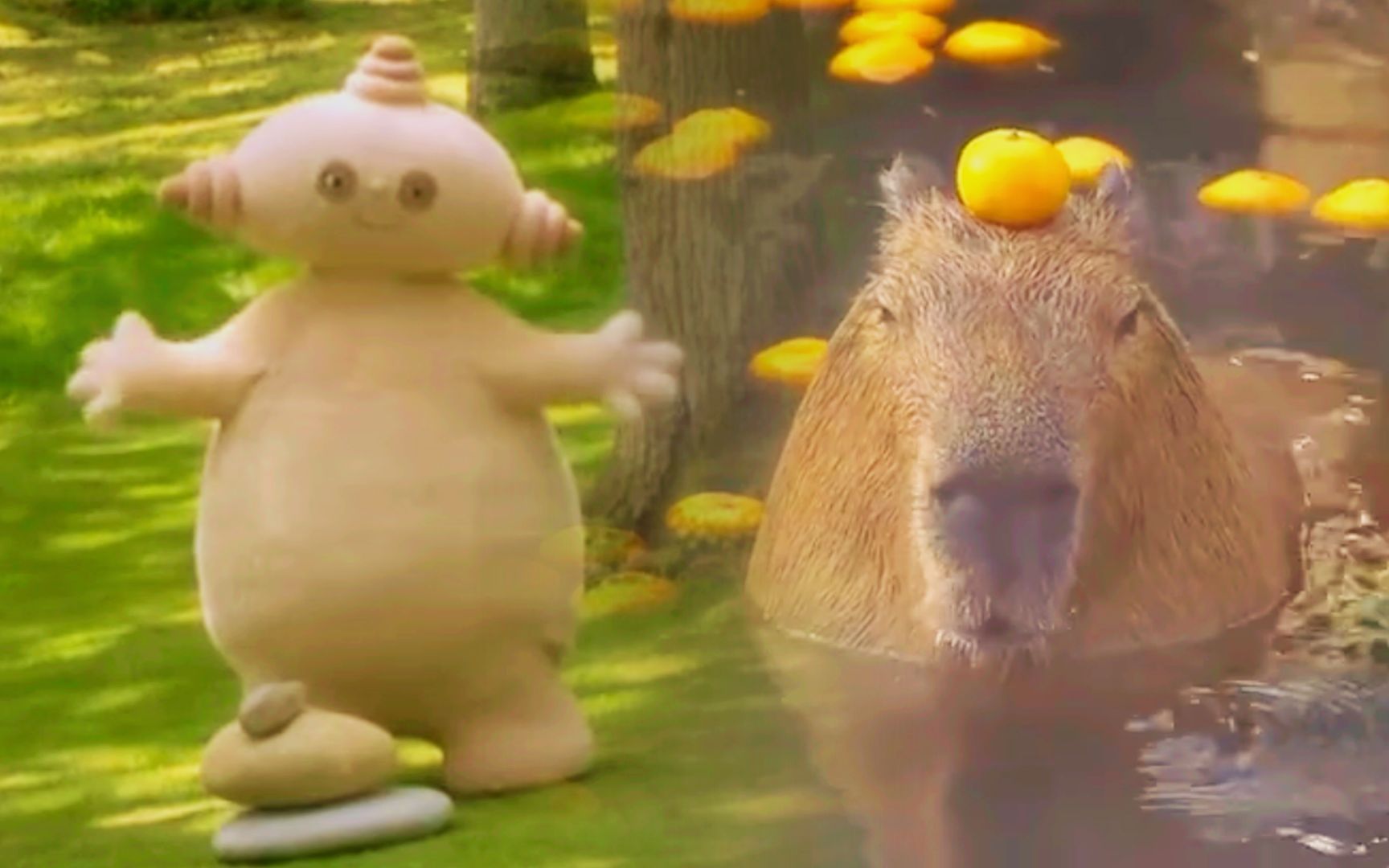 【玛卡巴卡×卡皮巴拉】世界上的另一个我