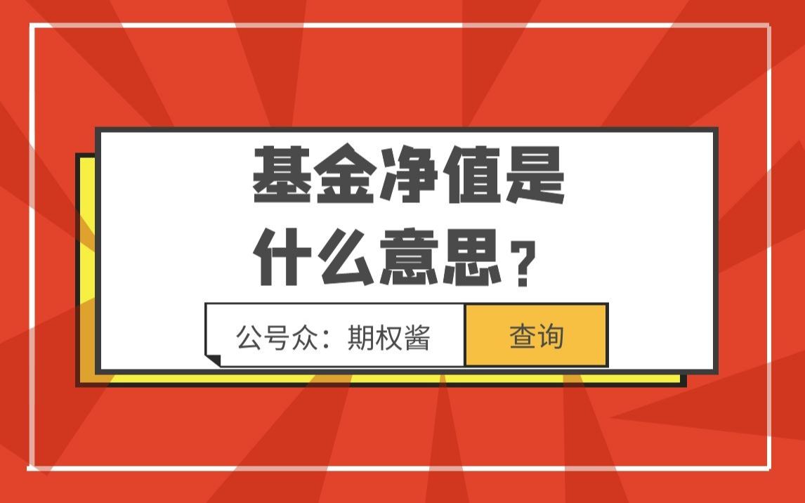 基金净值是什么意思?哔哩哔哩bilibili