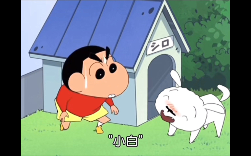 小白真的很了不起也,果然野原一家不养闲人