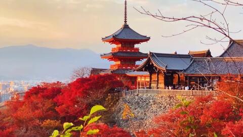 京都 清水寺 红叶 五重塔 地主神社 哔哩哔哩