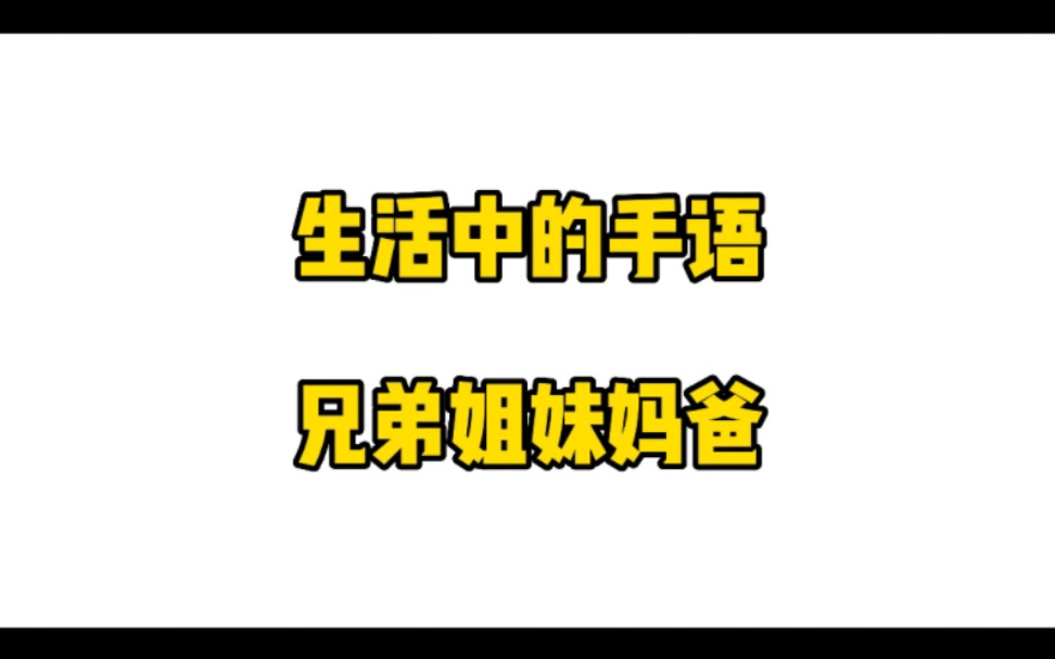 【生活中的手语】兄弟姐妹妈爸哔哩哔哩bilibili