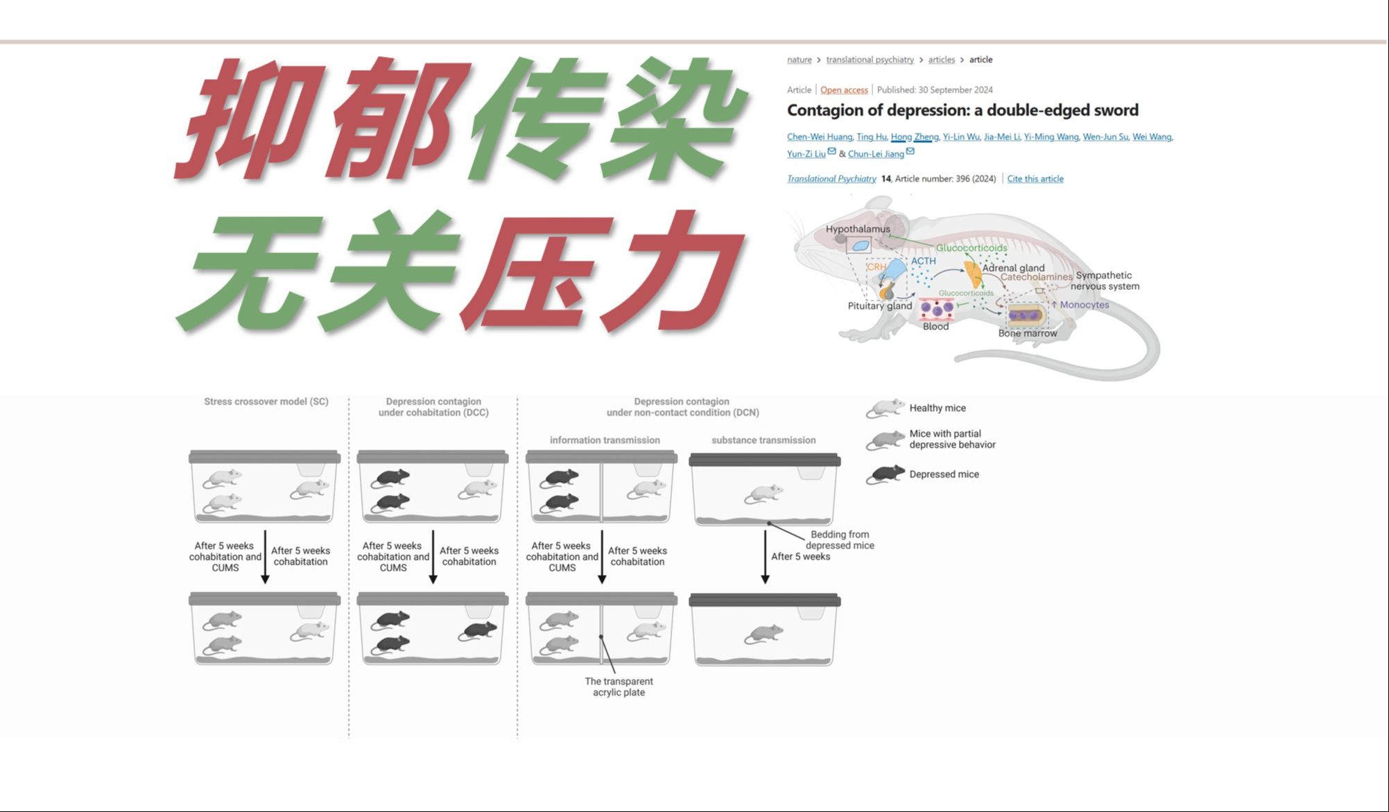 【文献速递】新知75 精神障碍:小鼠模型来揭示 抑郁传染双刃剑哔哩哔哩bilibili