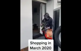 外国人民水深火热 搜索结果 哔哩哔哩 Bilibili