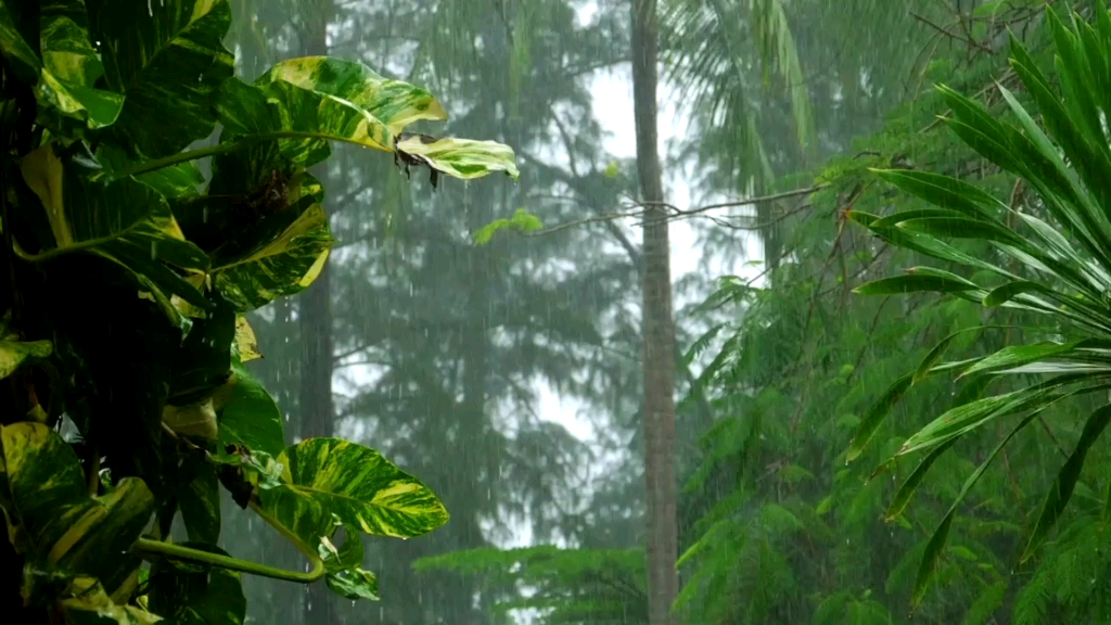 [图]【诗朗诵】余光中·等你在雨中（四川话）