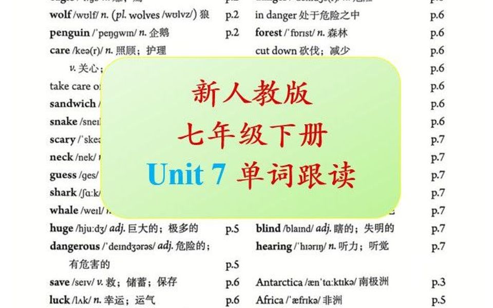 七下英语早读(七下英语早读本)  第2张