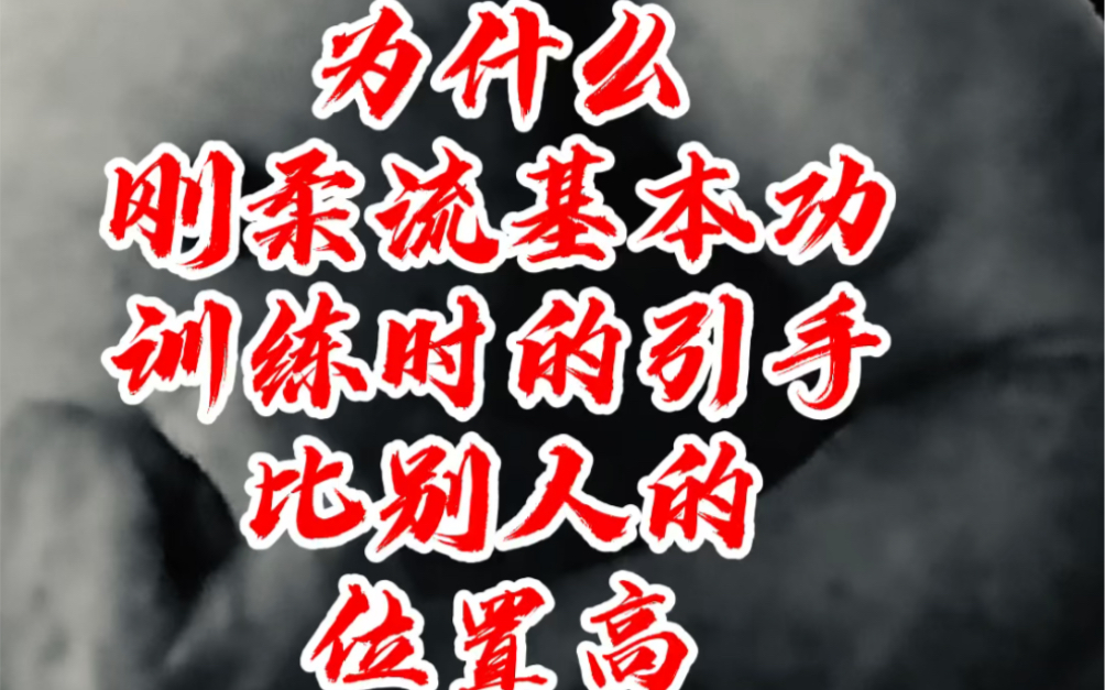 为什么刚柔流基本功引手比别的流派位置高 “因为发源地是水乡”“直线出拳最短” 还有么?其实原因在脚下!【刚柔流空手道】】哔哩哔哩bilibili