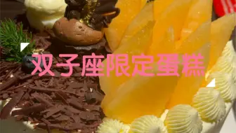 双子座蛋糕 哔哩哔哩 Bilibili