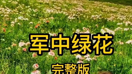 [图]老歌《军中绿花》