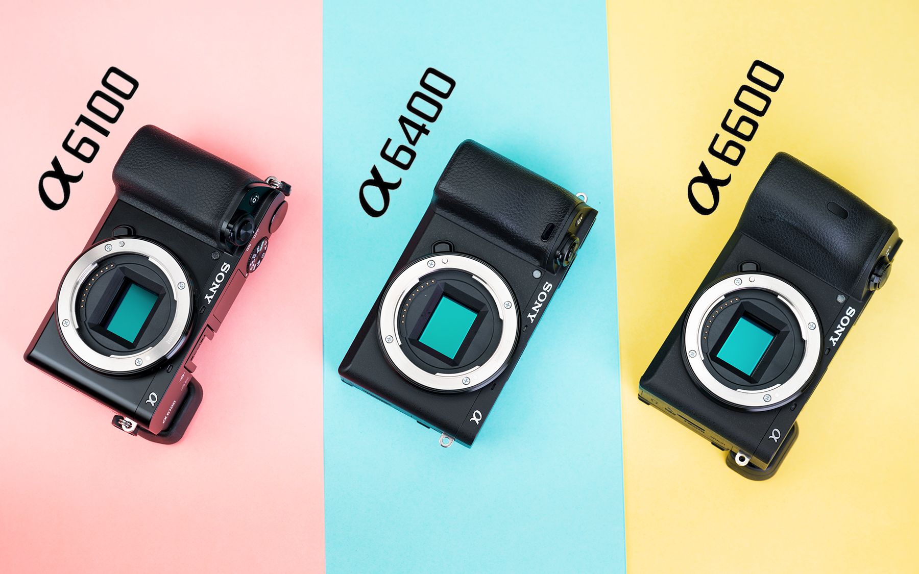 索尼a6100 a6400 a6600,哪一台最六?