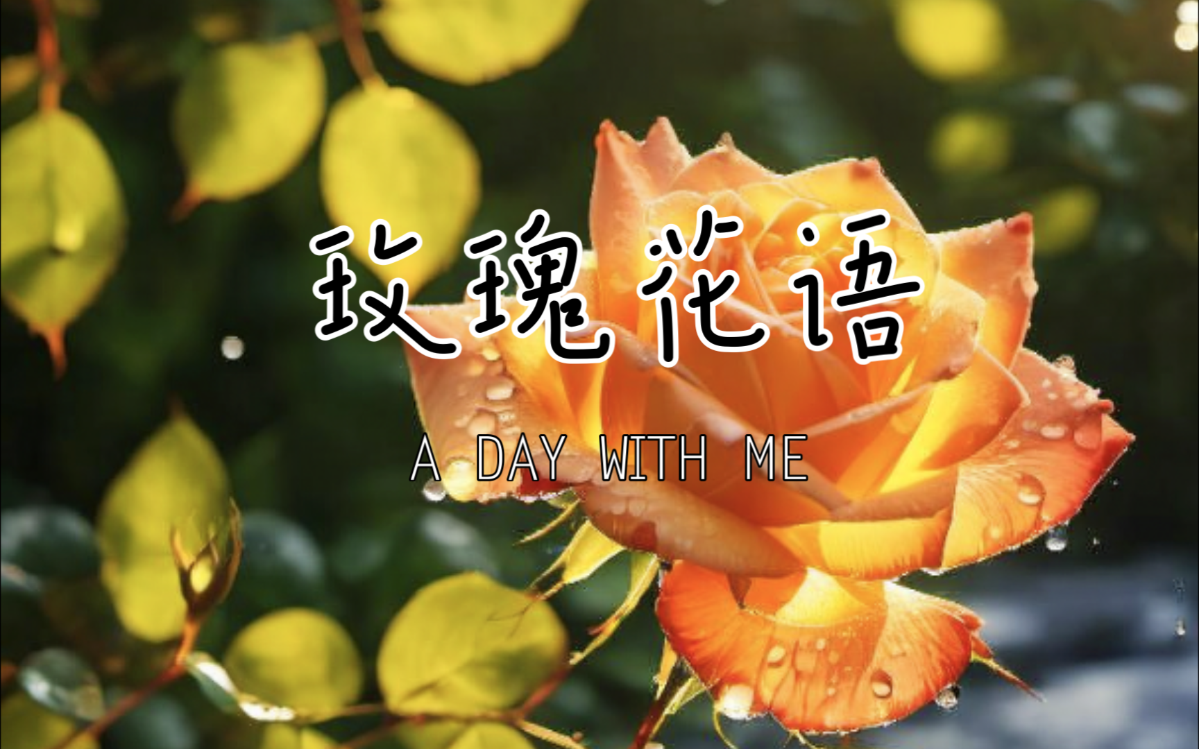 黄玫瑰花语,纯洁的友谊和美好的祝福