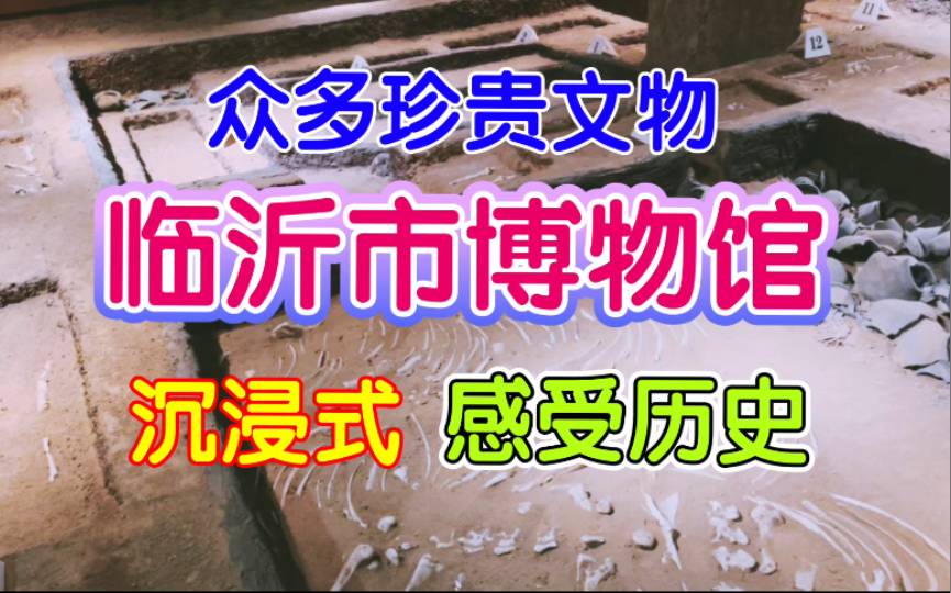 临沂市博物馆竟然有众多的珍贵文物,主打新石器时代和汉晋时期哔哩哔哩bilibili