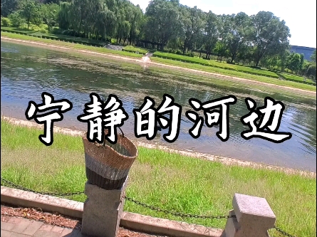 【setnomen】更新啦,赶紧来围观吧!哔哩哔哩bilibili