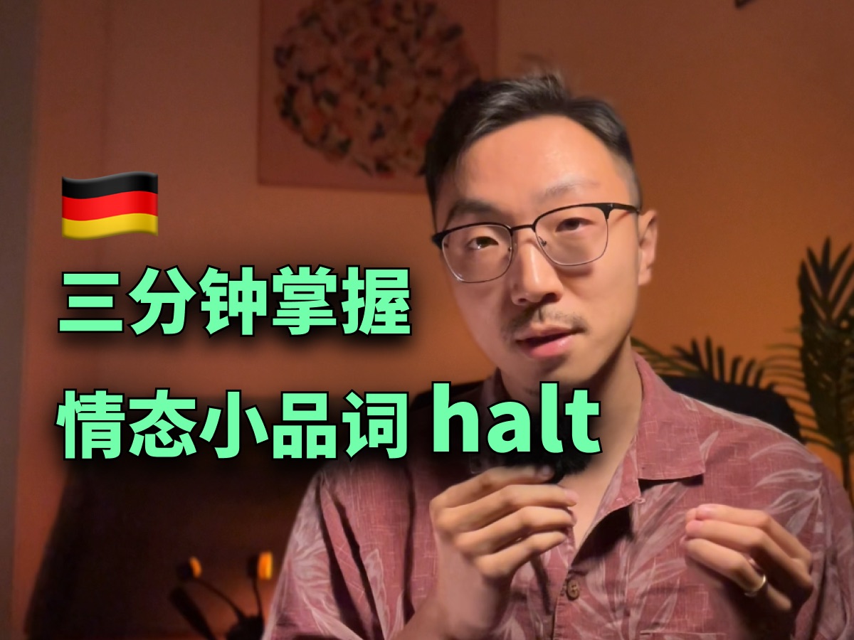 𐟇鰟‡ꤡs ist halt so里面的＂halt＂是啥意思?哔哩哔哩bilibili