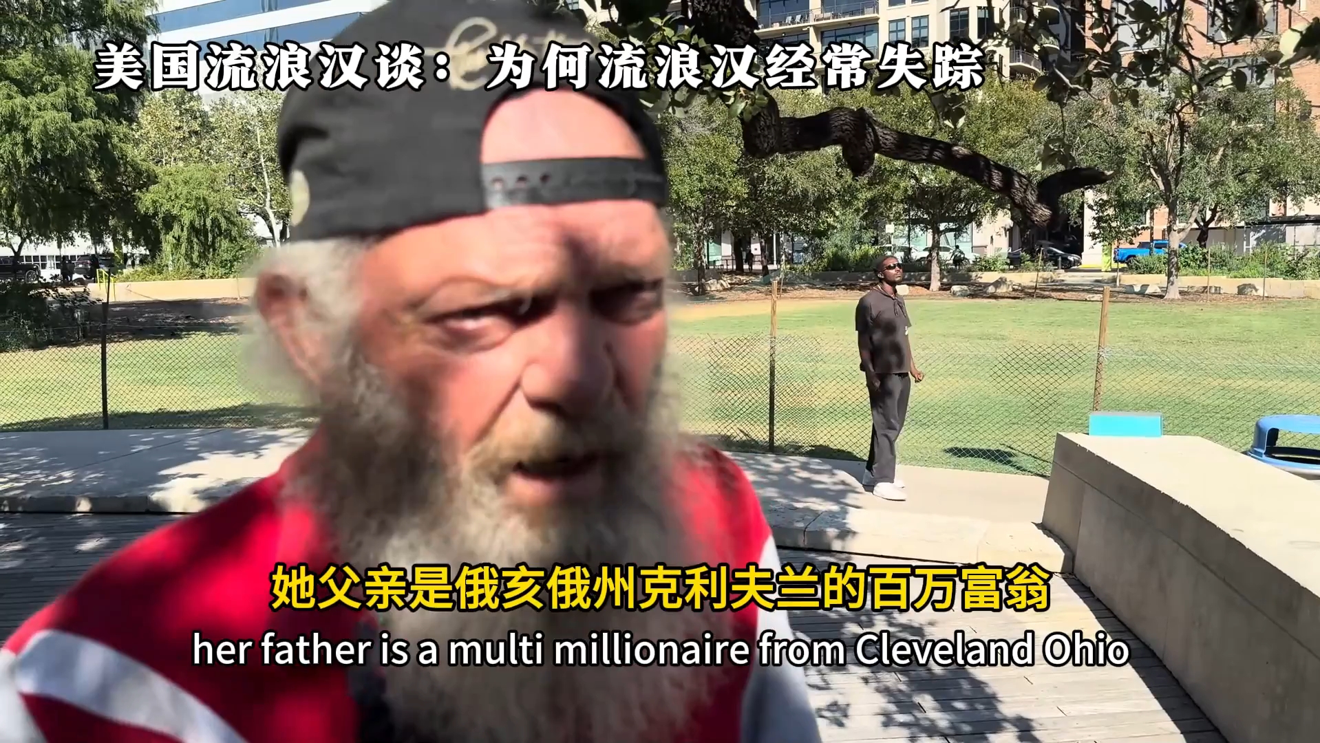 为什么流浪猫比流浪狗多百科在线 为什么流浪猫比流浪狗多百科在线