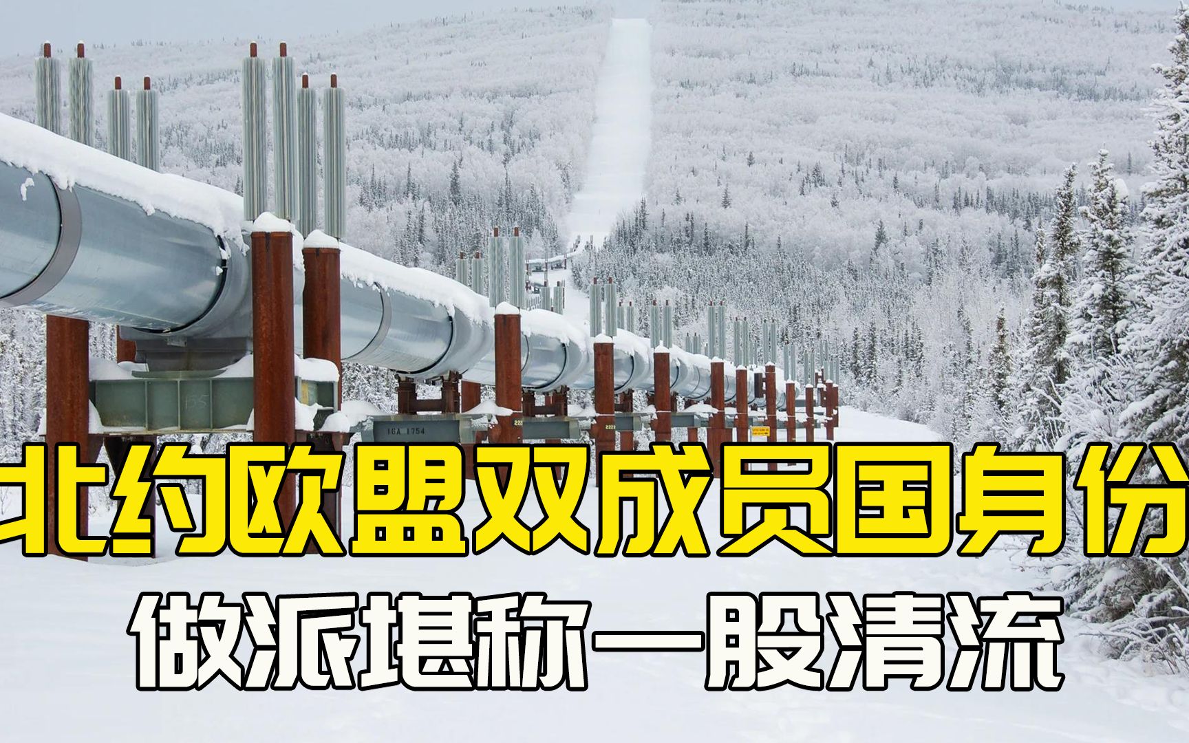 获中国投资,又得俄罗斯能源,匈牙利靠自主独立,让西方诸国艳羡哔哩哔哩bilibili