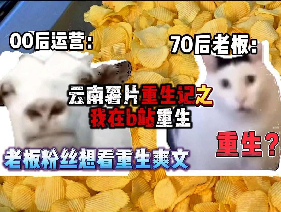 【猫meme/我重生了】这一世我不在是任人拿捏的小土豆,70后老板给我打包,60后厂长给我炸薯片,00后运营帮我宣传!关注我,聆听我的逆袭之路!哔...