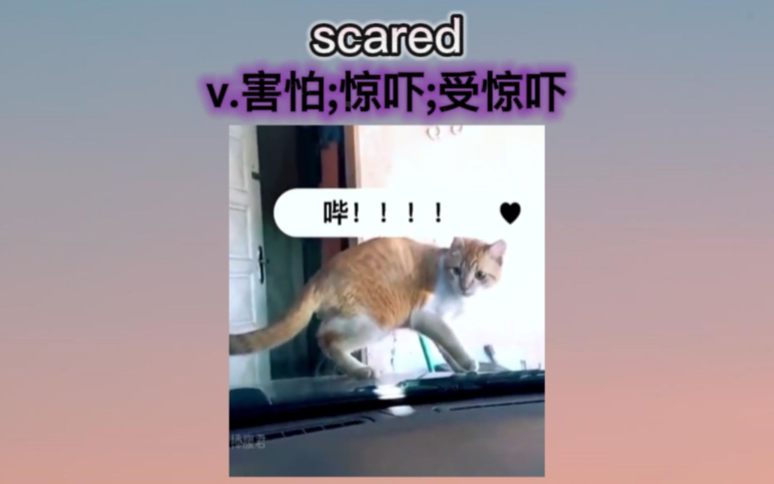 “惊吓”哔哩哔哩bilibili