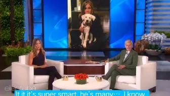 出国10年总结 告别尬聊 英语寒暄说什么 全英中字 哔哩哔哩 Bilibili