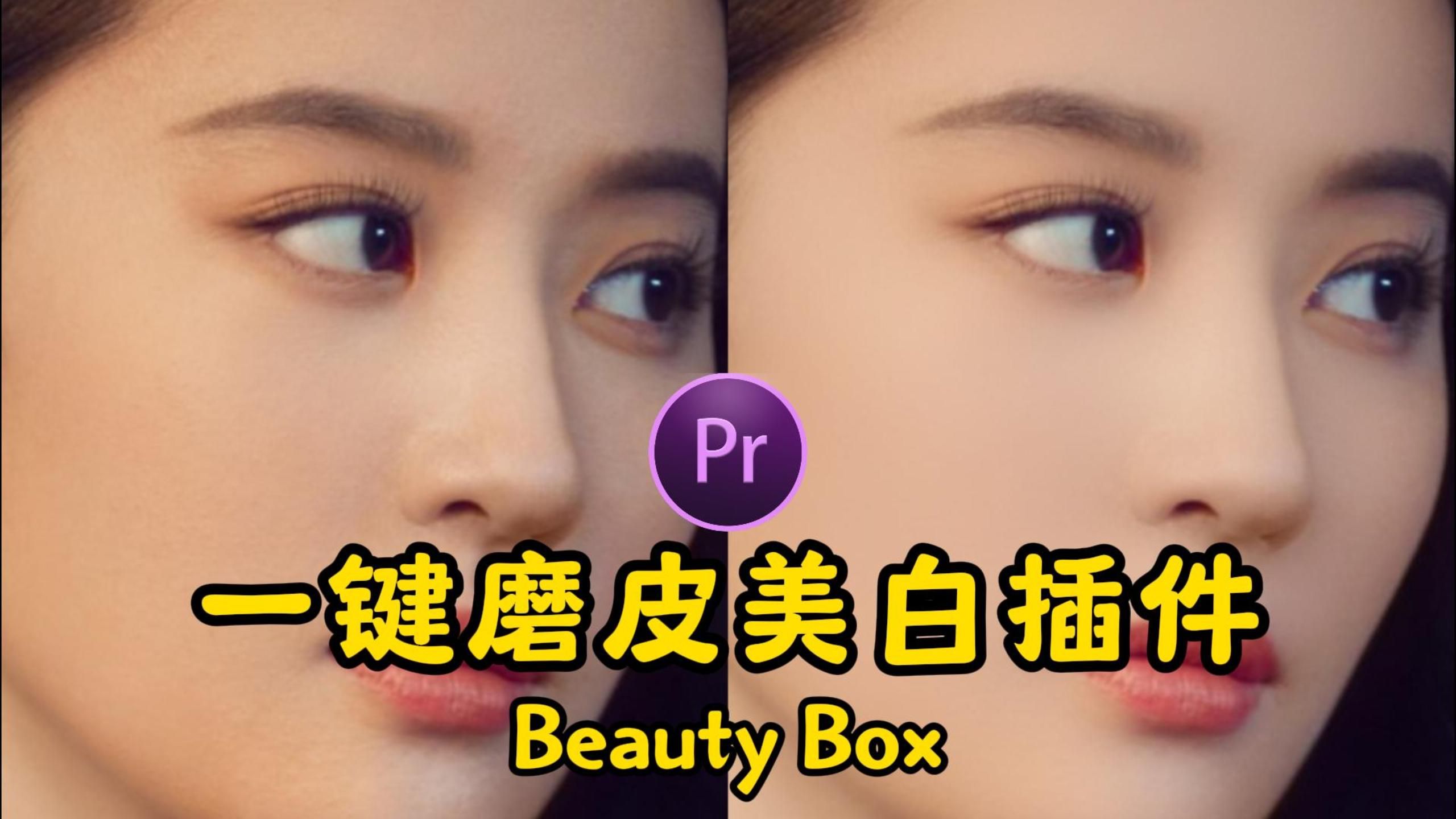 2024年新版PR一键磨皮插件Beauty Box汉化版,一键安装~哔哩哔哩bilibili