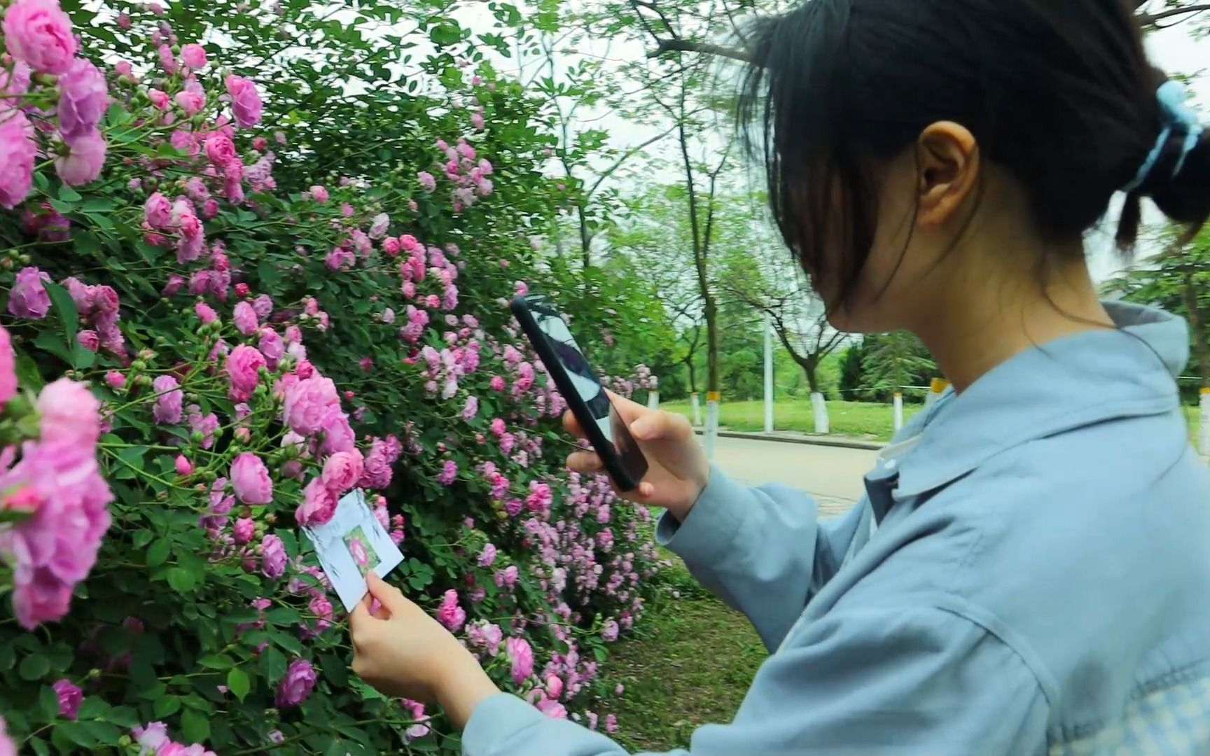 “食安家国,药济民生”,跟随冰糖走进第三届药食文化节哔哩哔哩bilibili