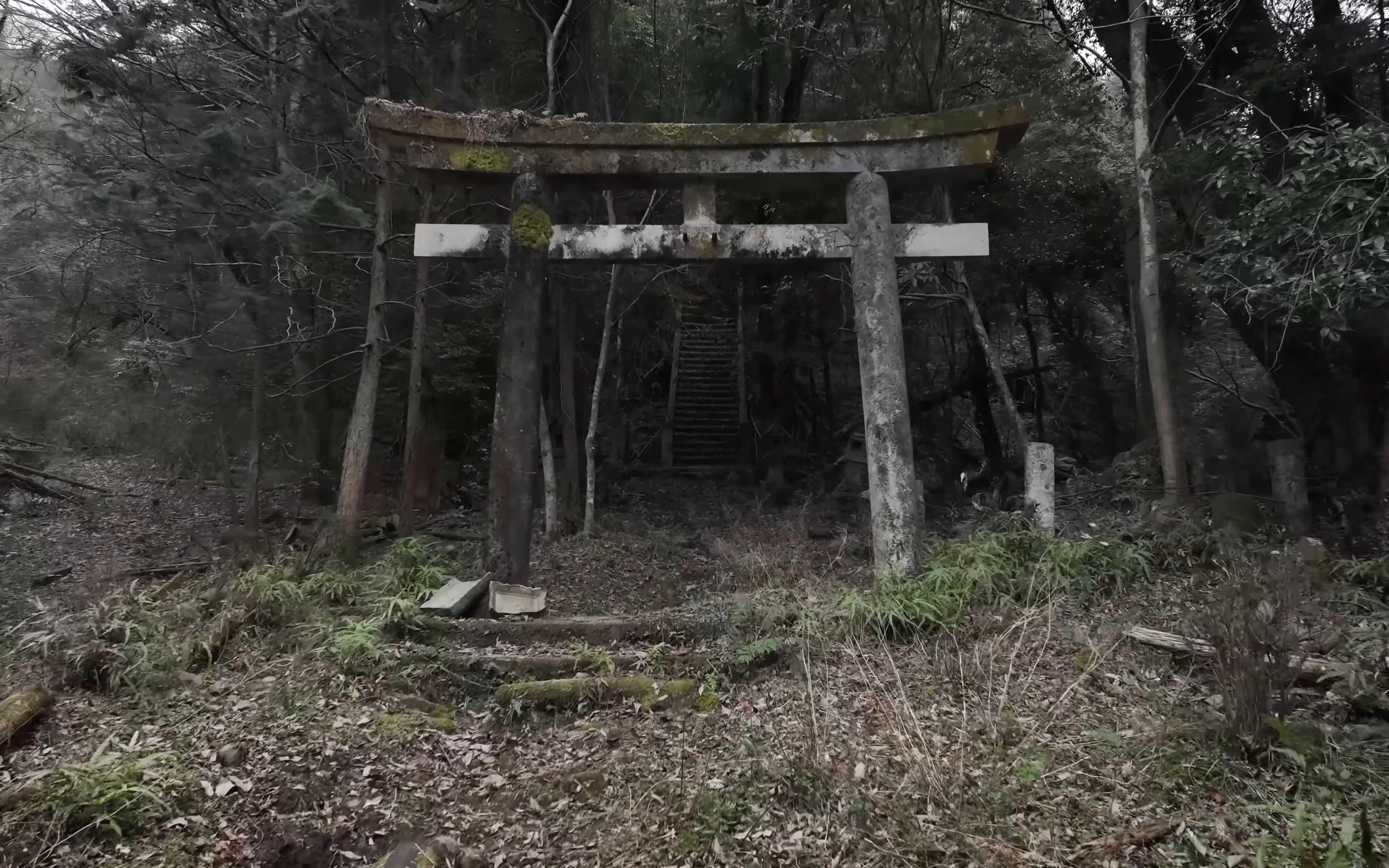 [图]穿过废弃神社的鸟居，前面几乎是异世界了【生肉搬运】廃神社の鳥居をくぐった先がほぼ異世界【廃墟ドローン】｜Mavic3 4K