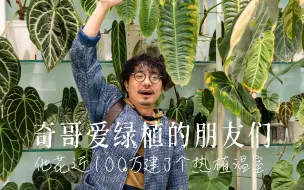 下载视频: 近100万打造的热植空间，成都植友有福了