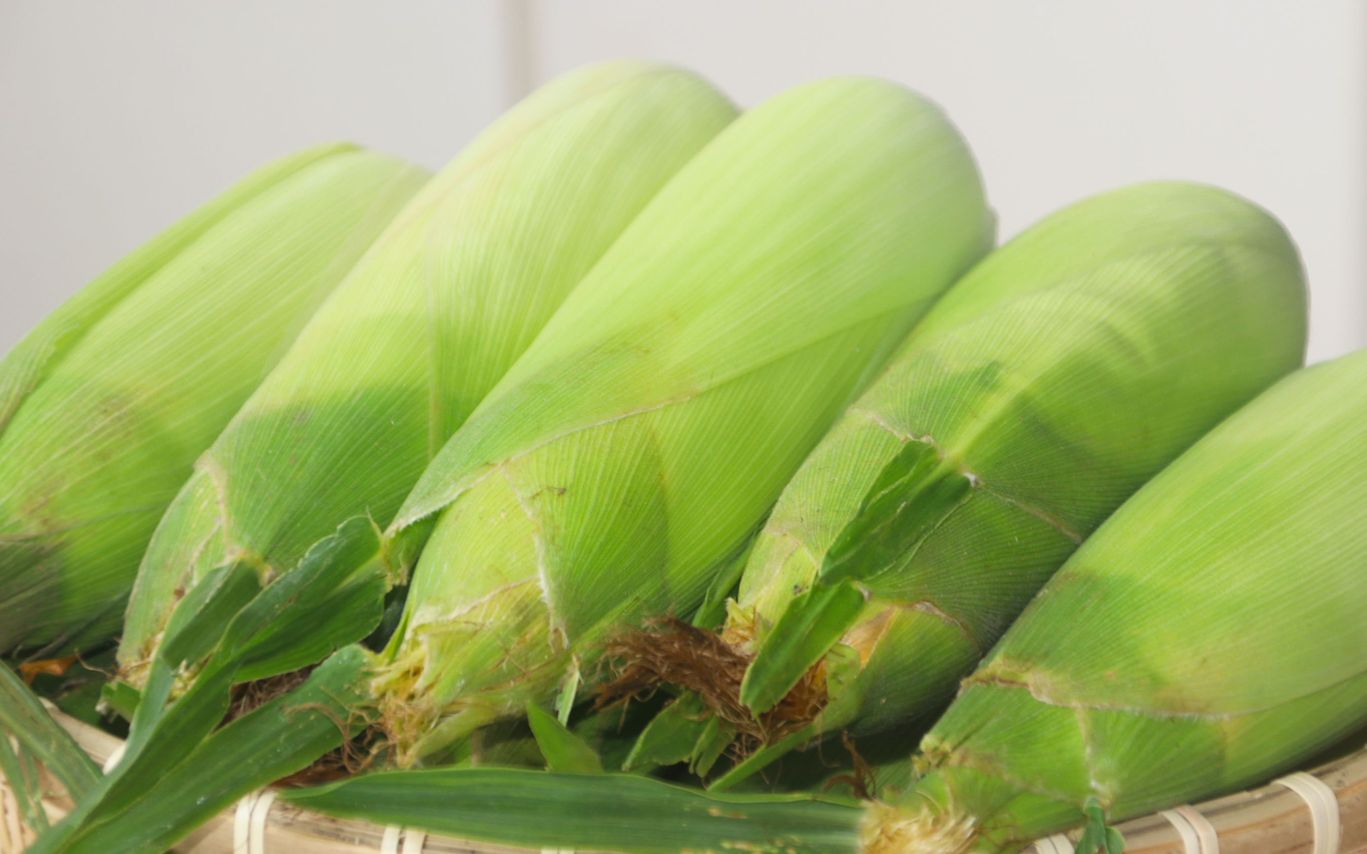 吃了30年玉米,终于知道玉米2种保存方法,放1年都新鲜不坏