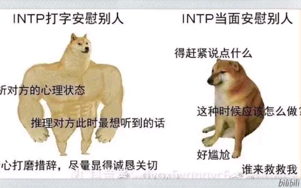 intp梗图/诚信互赞,赞一回十,24小时内必回!