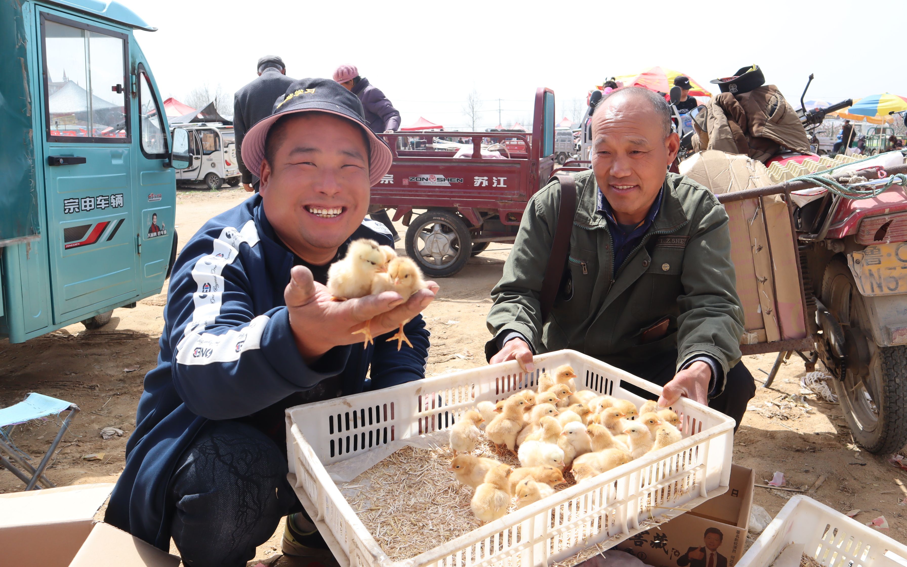 胖哥带丫妈赶集买小鸡,丫妈捧着小鸡爱不释手,胖哥心里乐开了花