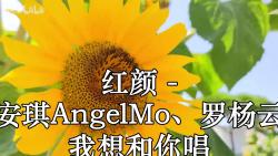 紅顏 - 胡彥斌,莫安琪angelmo,羅楊雲子,薛黛霏 我想和你唱 高品質