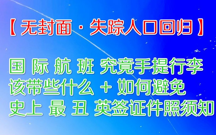 【国际航班ⷩš机小书包内ⷧ‰饓大究极】失踪up回归+史上最丑英签照片哔哩哔哩bilibili