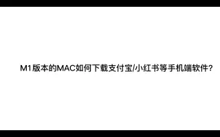 版本如何下载支付宝小红书抖音皮皮虾等手机软件