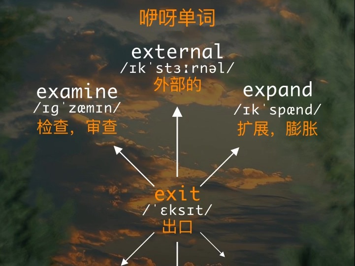 014每日一词/exit词根词缀哔哩哔哩bilibili