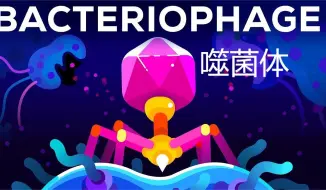 Download Video: Kurzgesagt科普-【中英字幕】地球上最致命的生物——噬菌体