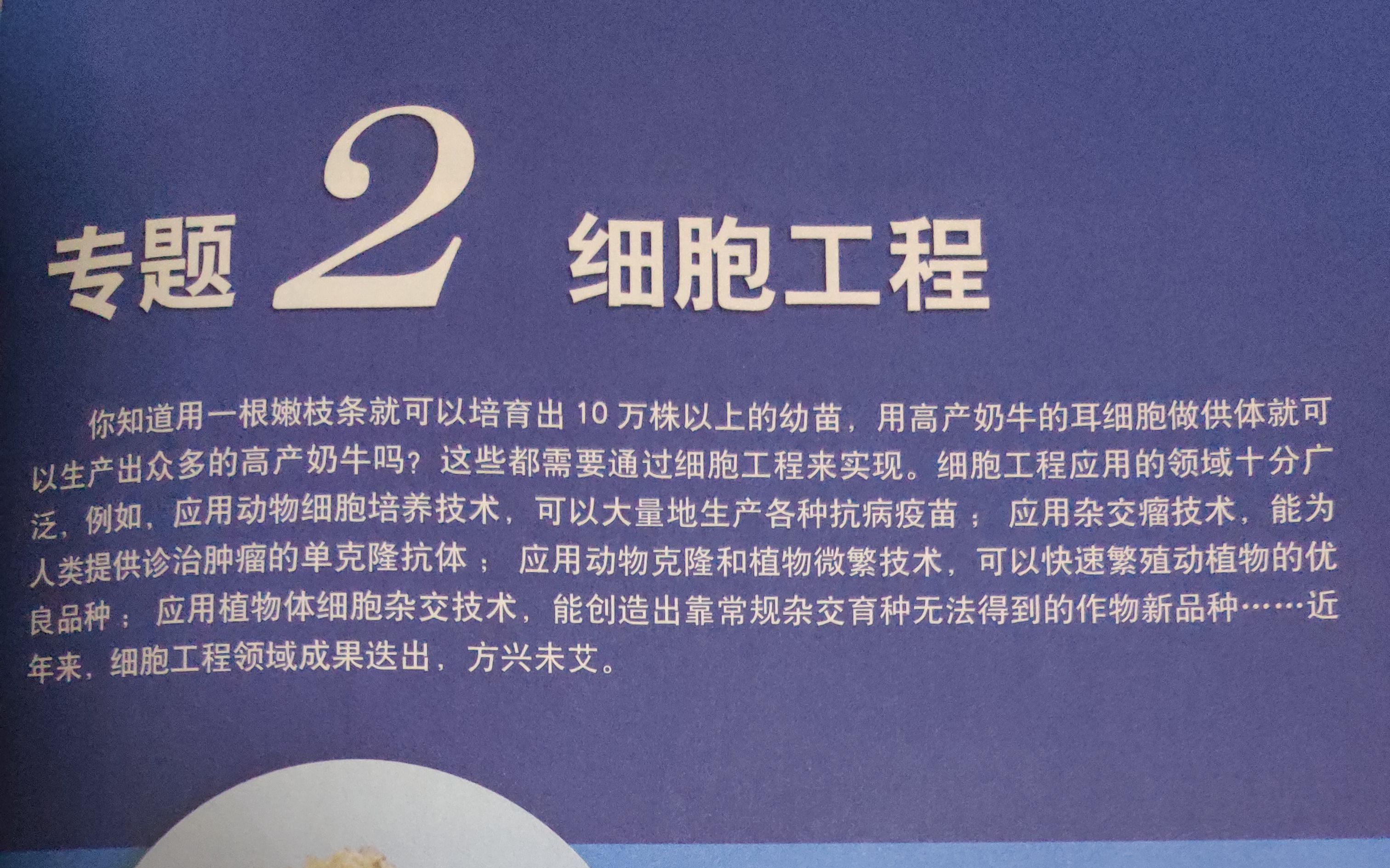 专题二 动物细胞工程之动物细胞融合技术哔哩哔哩bilibili