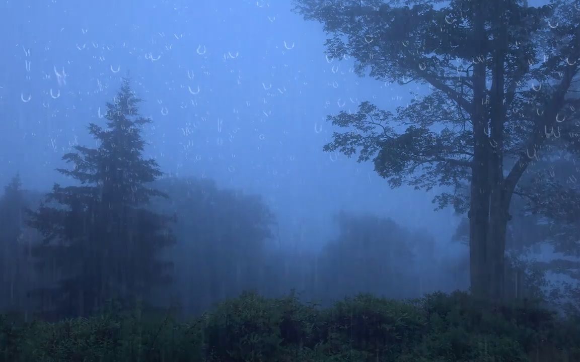 大自然雨声:再多的伤害我也不在乎,擦干眼泪告诉自己不准哭.哔哩哔哩bilibili