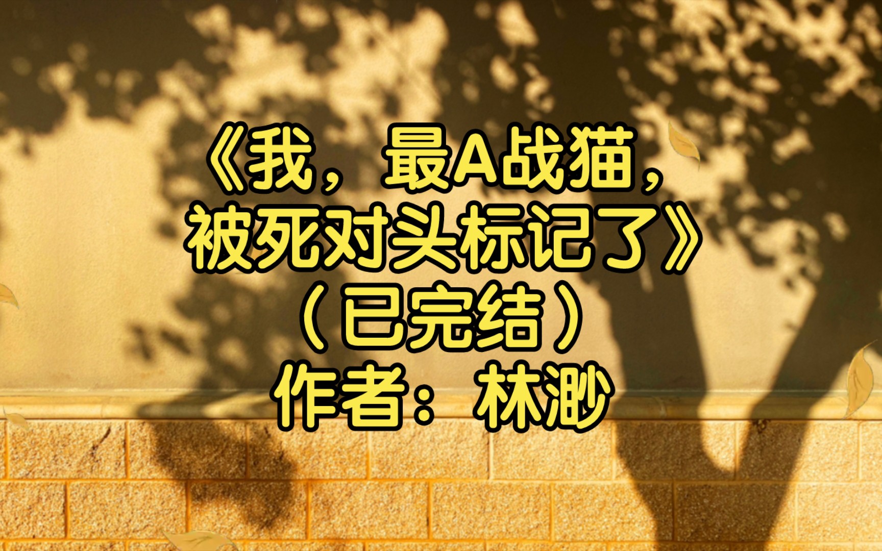 [图]【推文】《我，最A战猫，被死对头标记了》（已完结）作者：林渺