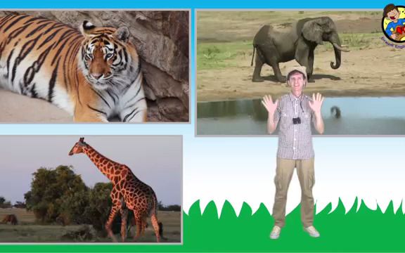 [图]What Do You See Song - Wild Animals - Learn English Kids