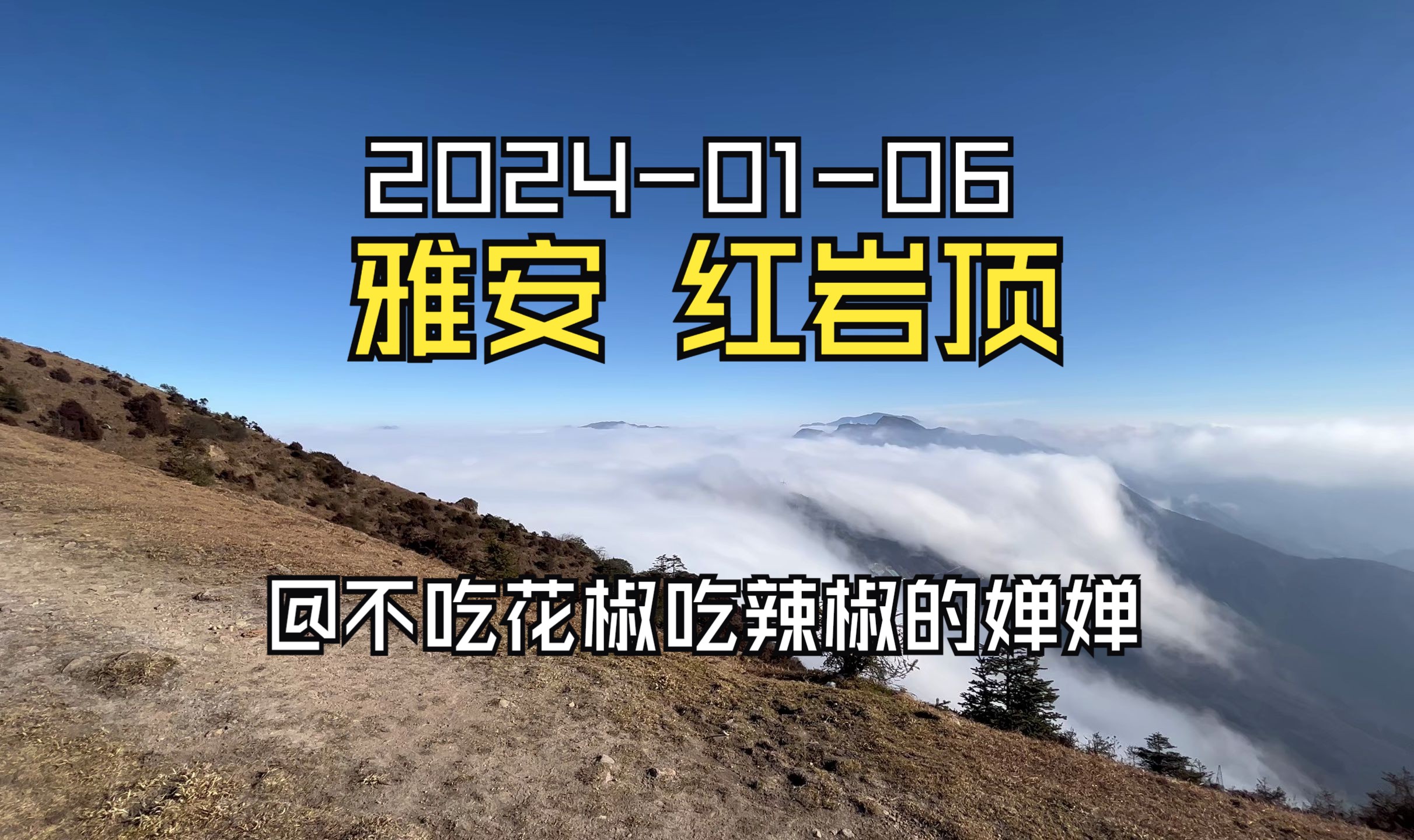 【徒步】成都周末攻略:雅安 红岩顶,轻松的徒步路线也能看到云海和雪山,川西美景闭眼入!哔哩哔哩bilibili