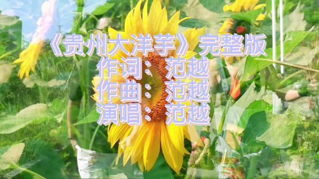 贵州花儿多又多大洋芋图片