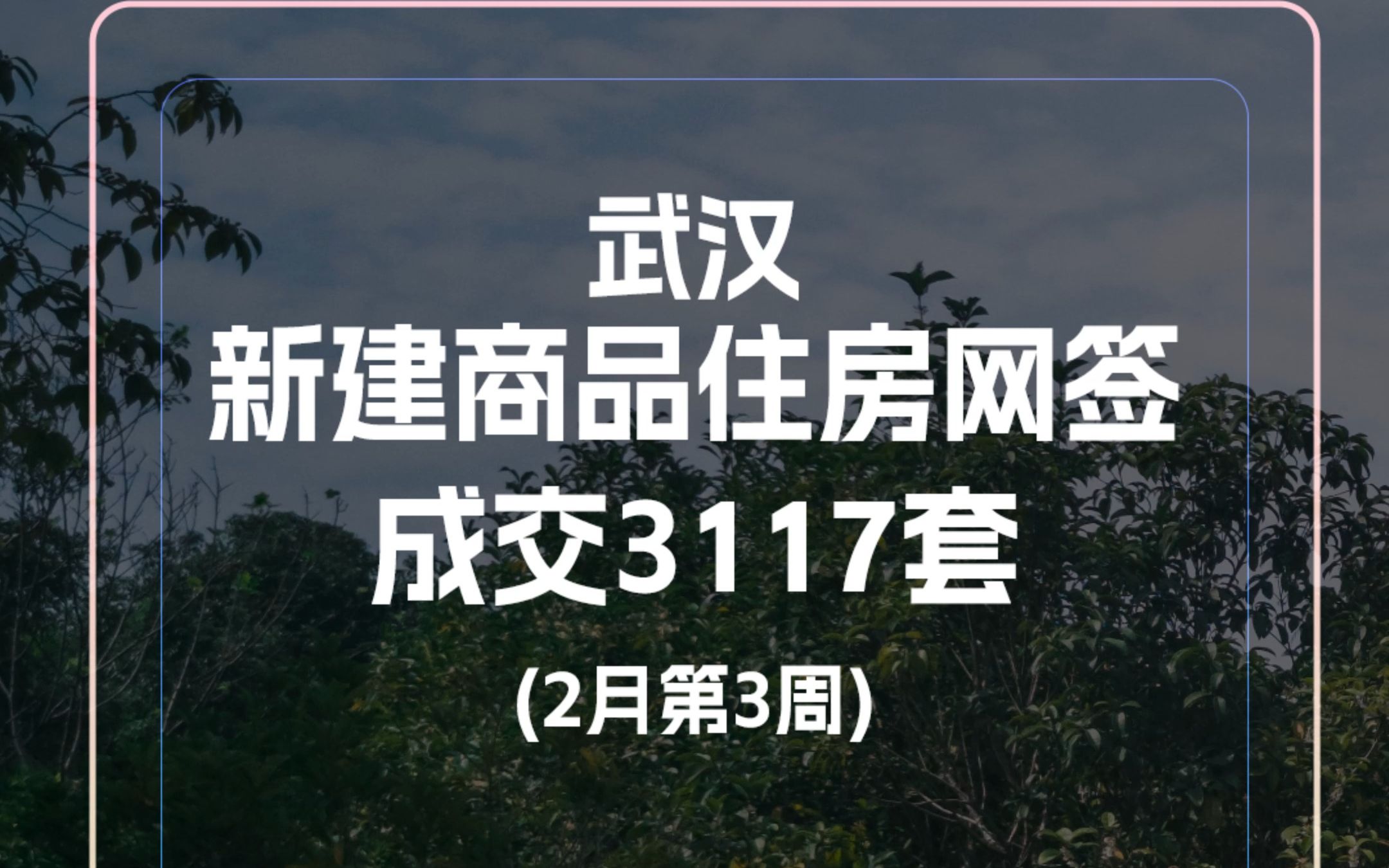 2月第3周,武汉新建商品住房网签成交3117套,环比上涨11.52%.哔哩哔哩bilibili