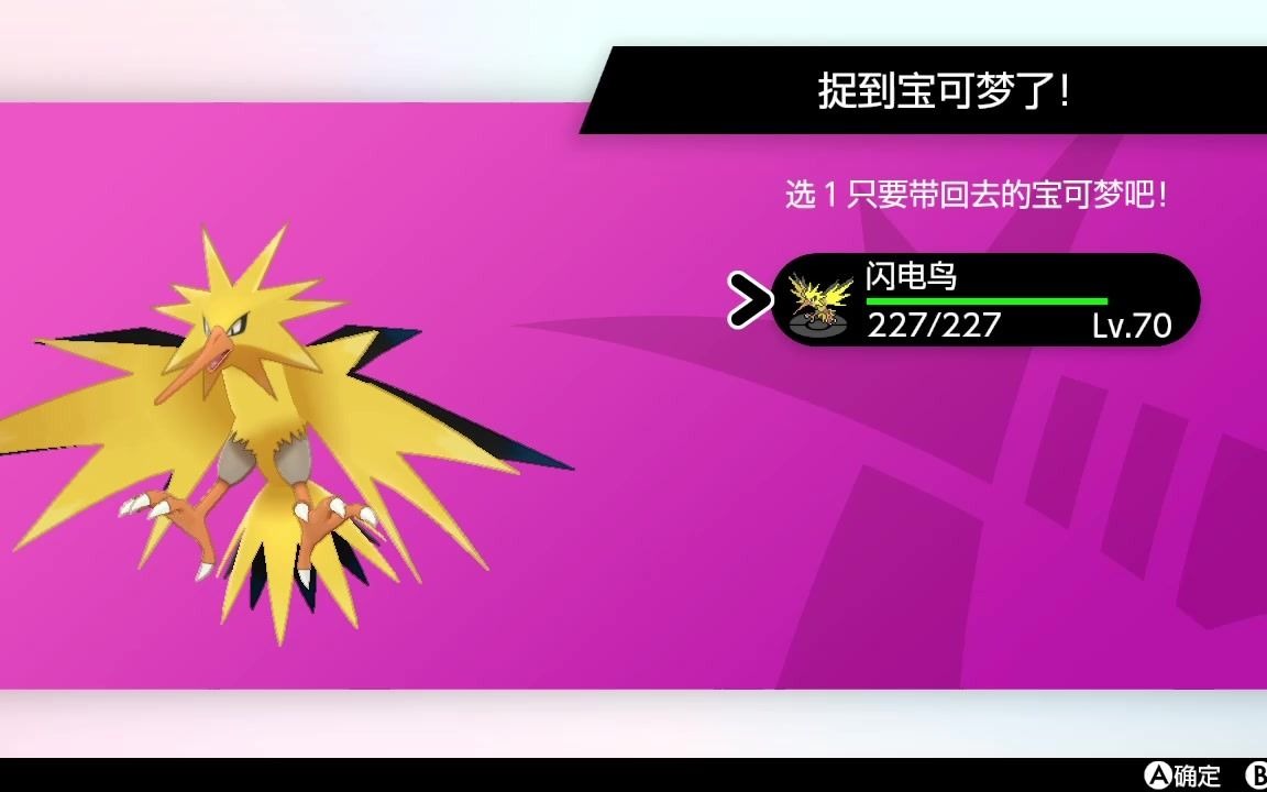 精灵宝可梦剑盾极巨大冒险闪光闪电鸟