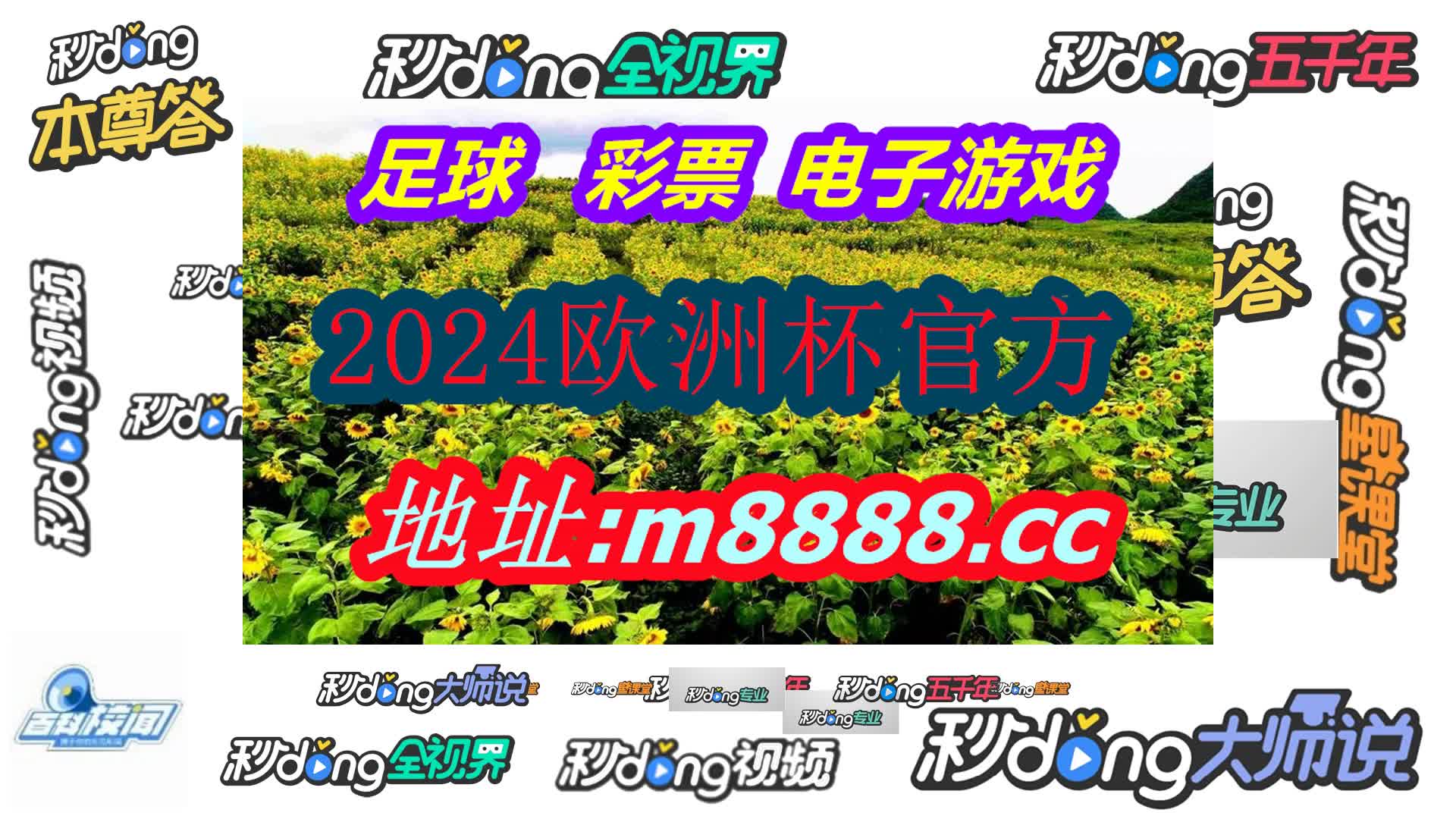 澳门最精准正最精准龙门(哔哩哔哩)840期