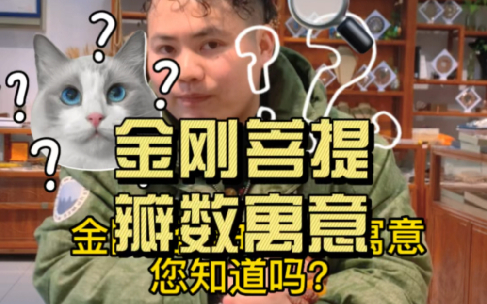 金刚菩提的瓣数寓意是什么哔哩哔哩bilibili