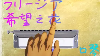 口琴渣录 フリージア 希望の花 哔哩哔哩 Bilibili