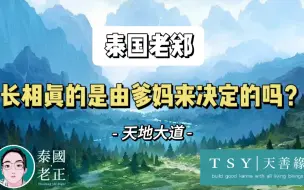 Download Video: 长相真的是由爹妈来决定的吗？｜泰国老郑｜天善缘